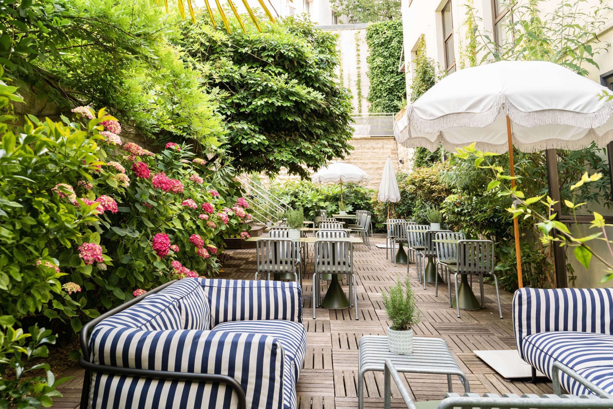 hotel rosalie – jardin public canape